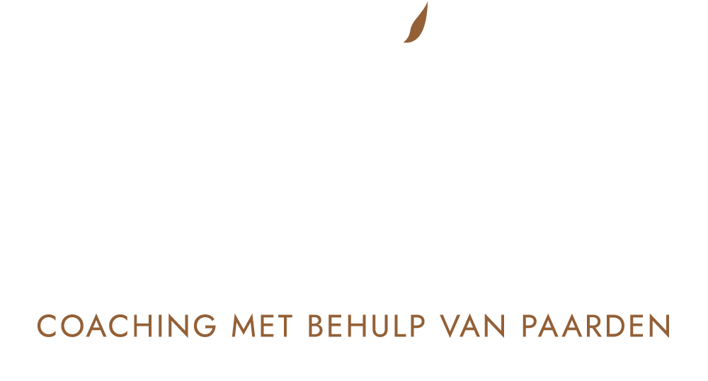 kuddekracht.nl